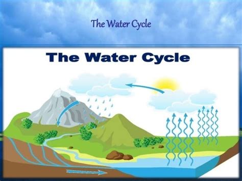 Water Cycle And Weather Earth Sciences Quizizz