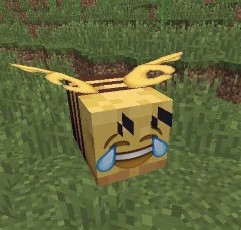 Cursed Minecraft Skins Cursed Minecraft Bee Celtrislt Wallpaper