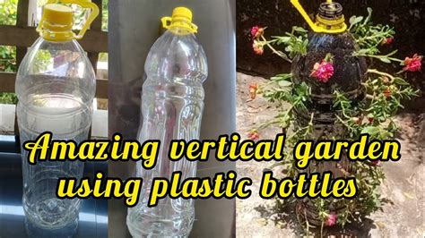 Amazing Vertical Garden Using Plastic Bottlesplastic Bottle Portulaca