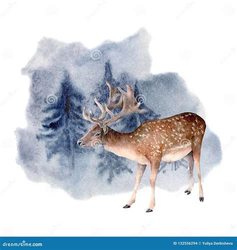 Watercolor Deer In Winter Forest Hand Painted Animal Illustration With