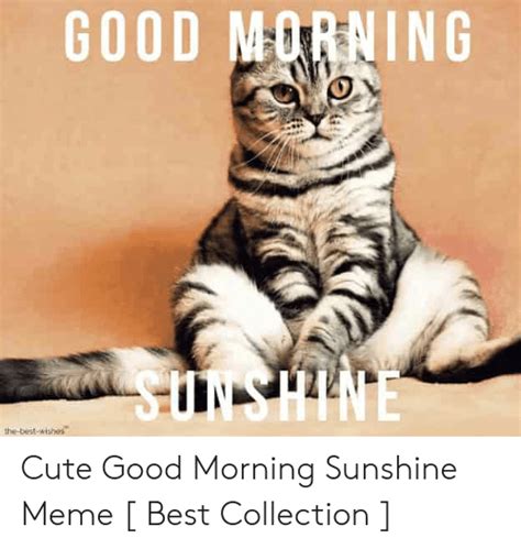Morning Sunshine Good Morning Meme Cute