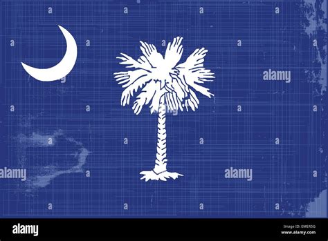 South Carolina State Flag Stock Vector Image And Art Alamy