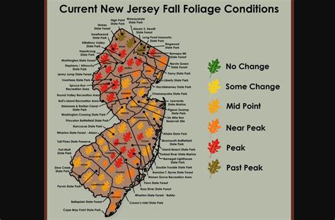 Nj Fall Foliage Update New Map Shows Colorful Leaves In Many
