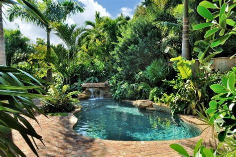 Backyard Landscaping Ideas Tropical at Catherine Edwards blog