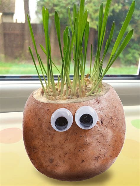 Potato contains vitamin b, vitamin c, zinc, niacin, and iron (1), (2). Herb Craft for Kids - LoveHerbs.ie