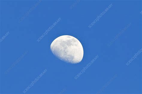 Day Time Moon Stock Image C0102991 Science Photo Library
