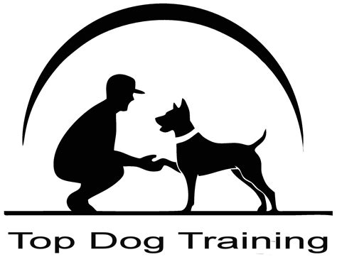 Tying the Knot with Your Furry Friend: Practical Tips for Pet-Inclusive