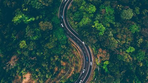 Download road, highway, nature, trees, aerial view 1920x1080 wallpaper ...