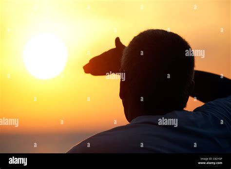 A Person Blocking Sunlight With His Hand Stock Photo Alamy