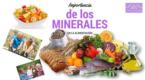 La Importancia De Los Minerales En La AlimentaciÒn Nutrição