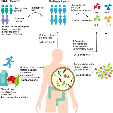 Gut Microbiota May Underlie The Predisposition Of Healthy Individuals