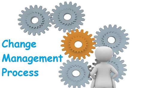 Change Management Process In 8 Steps