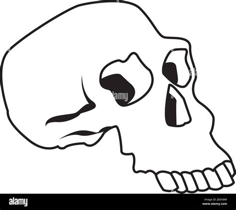Skull Human Structure Anatomy Bone Icon Stock Vector Image And Art Alamy