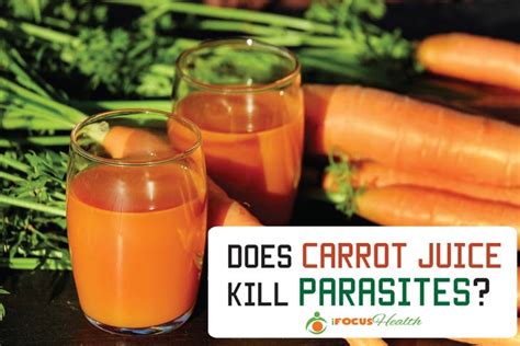 Normal blending procedure ( for a short time and at room temperature) will not kill bacteria normally present in yogurt. Does apple cider vinegar kill parasites in your body ...