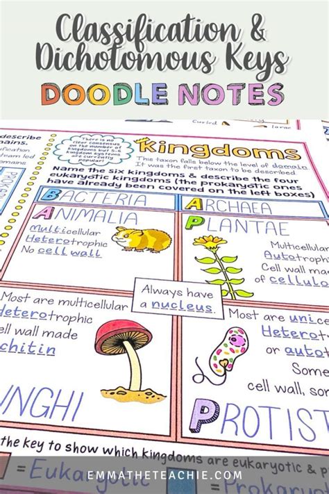 Classification And Dichotomous Keys Doodle Notes Video Video In