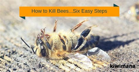 How To Kill Bees
