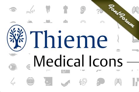 Medical Icons ~ Symbol Fonts ~ Creative Market