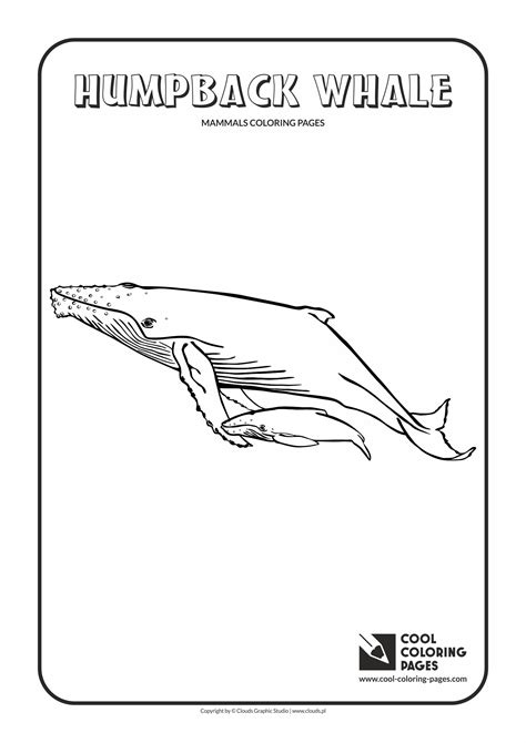 Cool Coloring Pages Humpback Whale Coloring Pages Archives Cool