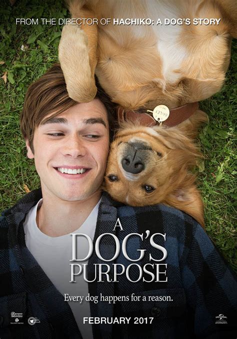 Cinetariz Review A Dogs Purpose