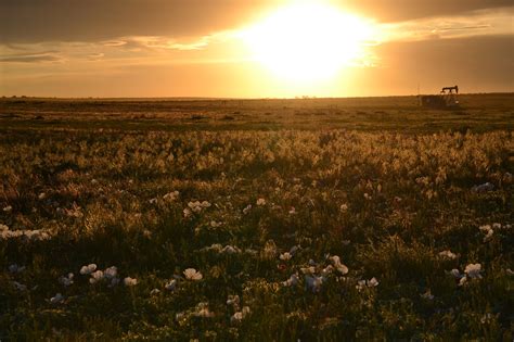 Prairie Sunset Wallpapers Top Free Prairie Sunset Backgrounds