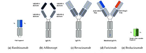 Molecular Structure Of Anti Vegf Agents 33 35 A Ranibizumab Is The