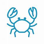 Oyster Crabs Clipart Transparent Webstockreview Crustaceans Seafoods