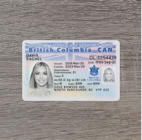 Canada British Columbia Driver License Template Psd Photoshop File