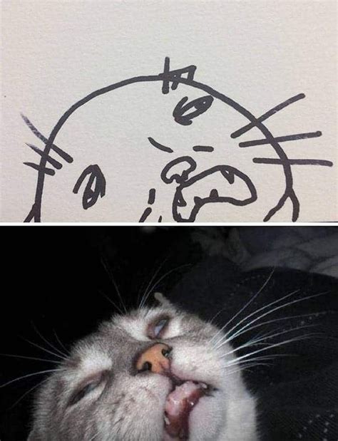 20 Epic Fail Cat Drawings That You Never Imagine Cat Drawing Funny