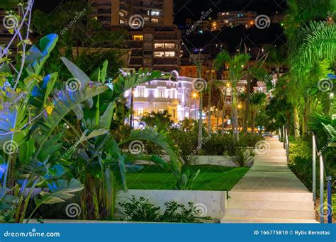 Park With Palm Trees At Night Time In Monaco Stock Photo Image Of