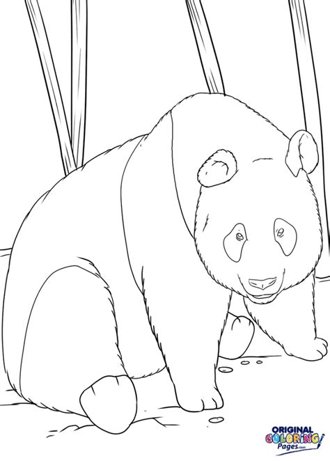 panda bear coloring page coloring pages original coloring pages