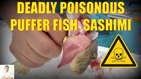 Poison Fugu Fish Strategiesnored