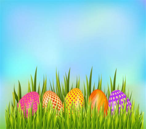 easter egg hunt background illustrations royalty free vector graphics and clip art istock