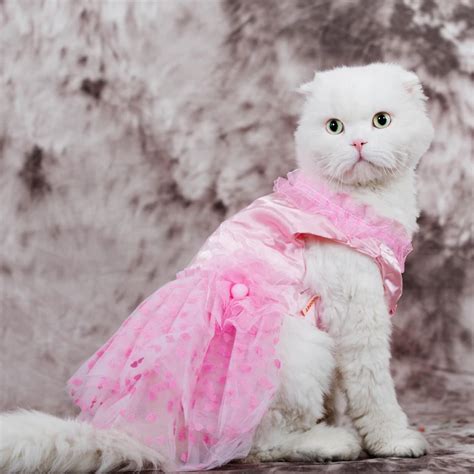 High Quality Kitten Sundress Dress Cat Princess Wedding Pet Dress