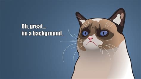 Wallpaper Id 631740 Humor Grumpy Meme Funny Cat 6 Quote 1080p