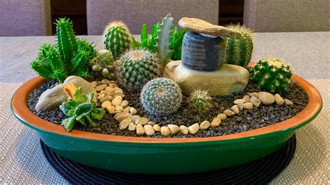 Cacti And Succulents Arrangement Youtube