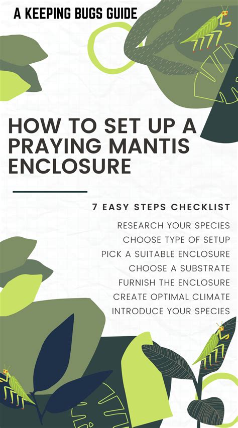 How To Set Up A Praying Mantis Enclosure In 2023 Praying Mantis Pray