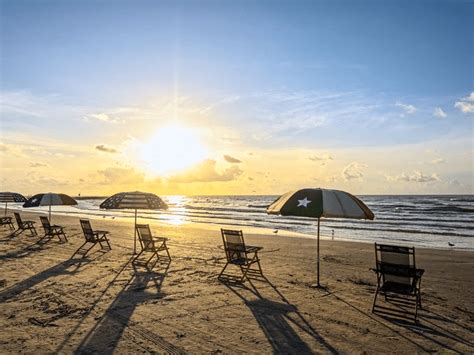 Find tripadvisor traveler reviews of the best galveston food delivery restaurants and search by price, location, and more. Dog Friendly Beach Getaway in Galveston, Texas | Do More ...