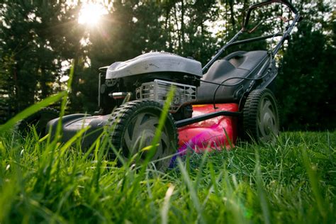 The Importance Of Total Lawn Care Keep Kids Safe In Your Own Front