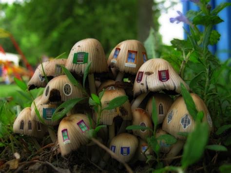 Smurfs Stuffed Mushrooms Surreal Artwork Drawing Illustrations