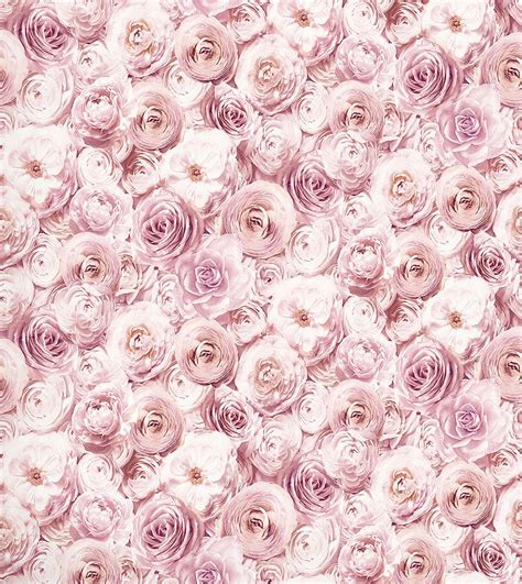 Arthouse Wild Rose Floral Wallpaper Blush Pink Petals Flowers 3d