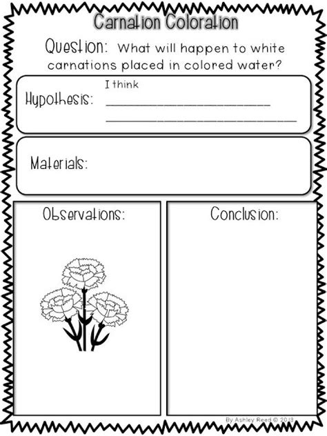Color changing flowers lesson plan. Carnation coloring experiment | Classroom Fun | Pinterest ...