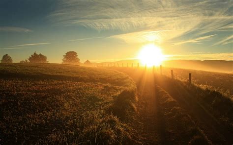 Morning Nature Sun Rays Landscape Sunlight Field Wallpaper And Background