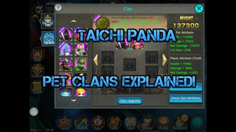 Taichi Panda Pet Clans Explained Youtube