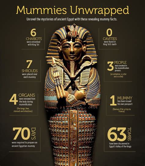 Facts And Figures About The Mummy Of Tutankhamun Tutankhamun Pharaohs