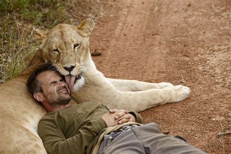 What Makes The Lion Whisperer Roar Science Smithsonian Kevin