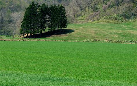 Landscape Mountains Hill Nature Grass Field Green Plateau