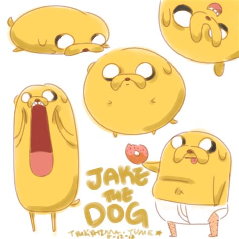 Jake The Dog Adventure Time With Finn And Jake Photo 35324252 Fanpop