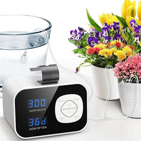 The 7 Best Automatic Plant Waterers In 2023 Rhythm Of The Home
