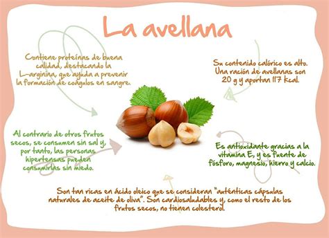 Conoce los beneficios de la Avellana y dónde conseguirla farmaciatancreda blogspot com