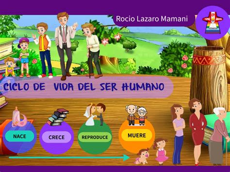 Ciclo De Vida Del Ser Humano By Rocio Lazaro Mamani On Prezi